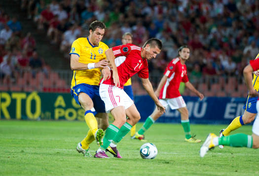 Adam Pinter, Ungern och Johan Elmander, Sverige