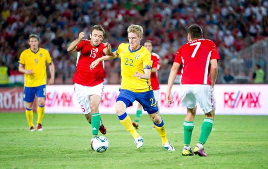 Rasmus Elm, Sverige