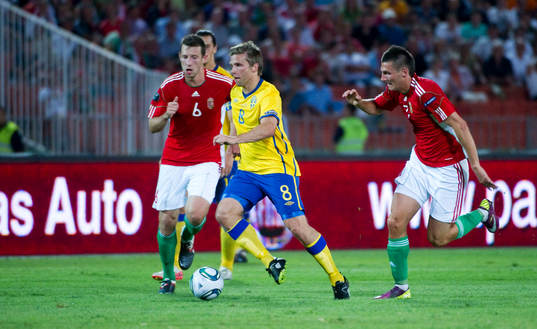 Anders Svensson, Sverige