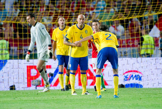 Daniel Majstorovic, Sverige, skäller på Mikael Lustig