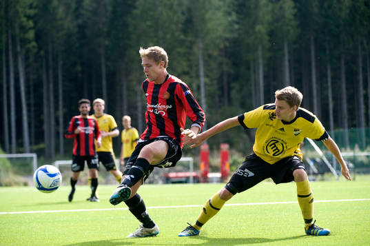 Johan Birgersson, IFK Hässleholm