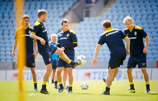 Bläddra bland fler bilder av Fotboll, EM-kval, Sverige