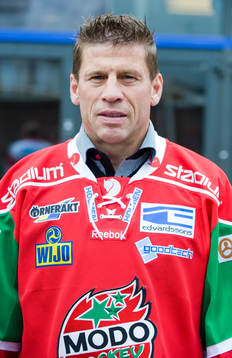 Ulf Samuelsson, tränare, Modo