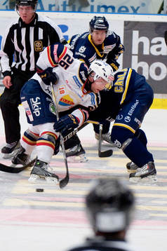 Tim Eriksson, Djurgåden