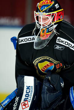 Ishockey, Elitserien, träning