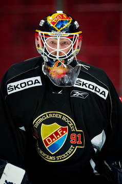 Ishockey, Elitserien, träning