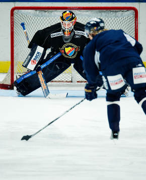 Ishockey, Elitserien, träning