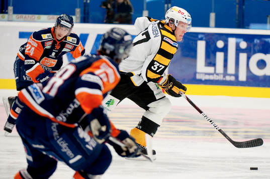 Lee Goren, Skellefteå