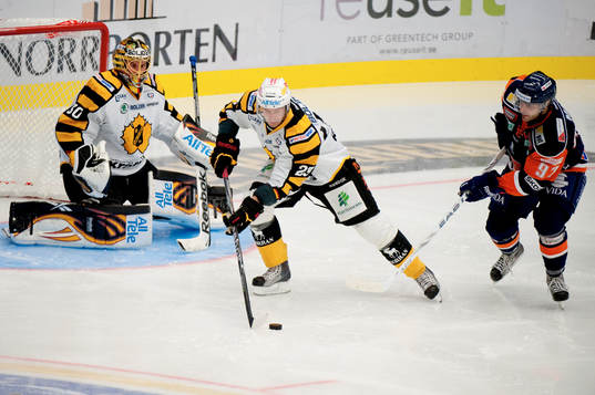 Joacim Eriksson, målvakt, Tomas Skogs, Skellefteå, Josh