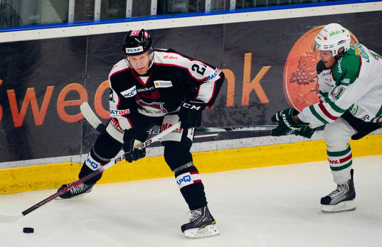 Jesper Mattsson, Malmö, Alexander Johansson, Rögle