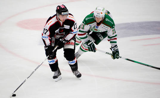 Ponthus Westerholm, Malmö, Ted Brithén, Rögle
