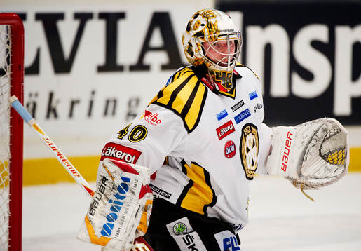 Johan Holmqvist, målvakt