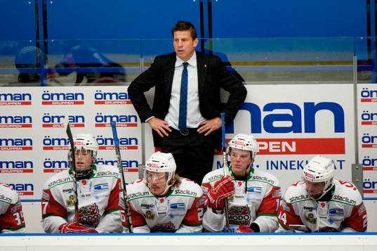 Ulf Samuelsson, tränare, Modo