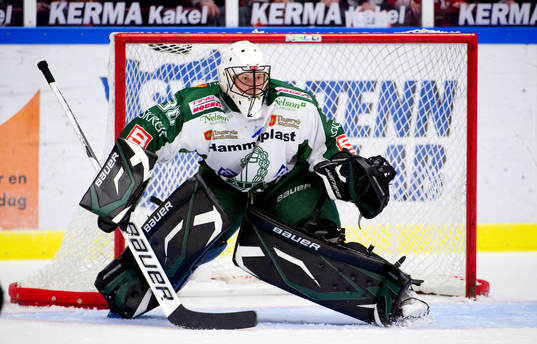 Johan Salomonsson, målvakt