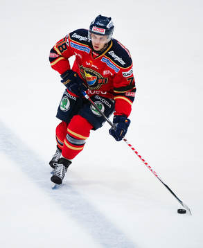 Josef Boumedienne