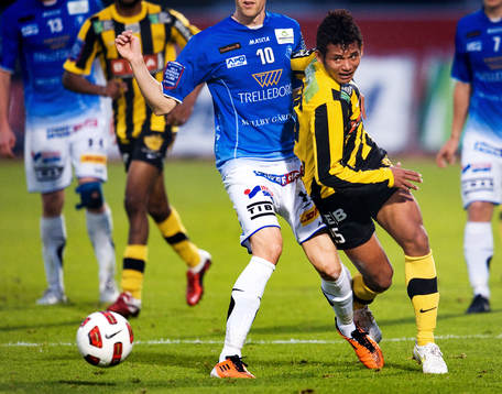 Maranhao, Häcken