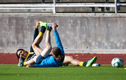 Zlatan Ibrahimovic stretchar