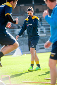 Zlatan Ibrahimovic
