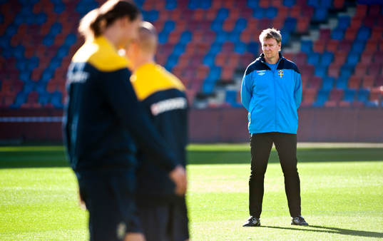 Peter Wettergren, spion