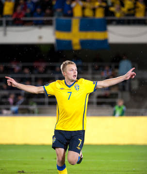 Sebastian Larsson, Sverige jubel