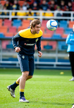 Johan Elmander