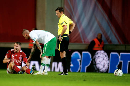 Michael Silberbauer, Danmark, Raul Meireles, Portugal,