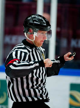 domare Mikael Holm, crosschecking, domartecken
