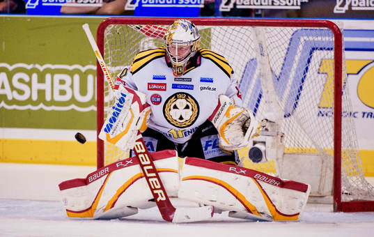 Johan Holmqvist, målvakt