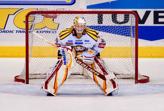 Johan Holmqvist, målvakt