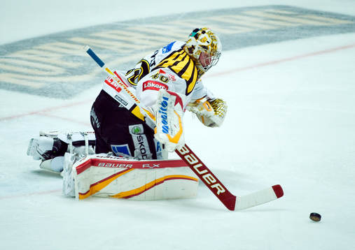 Johan Holmqvist, målvakt, Brynäs