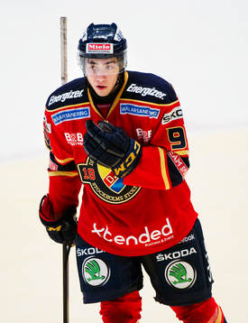 Mika Zibanejad