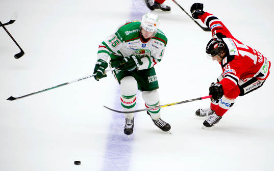 Magnus Häggström, Rögle, Alexander Barta, Malmö