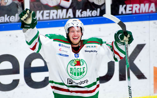 Alexander Johansson, Rögle jubel