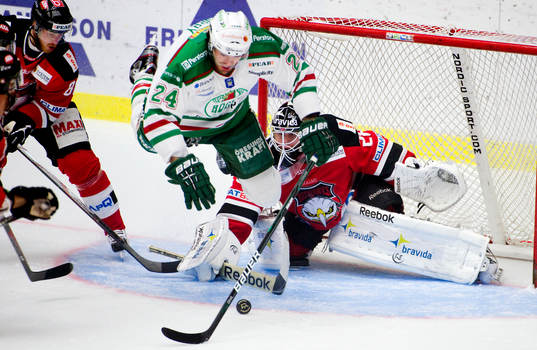 Sean Curry, Rögle, Hannu Toivonen, målvakt, Malmö