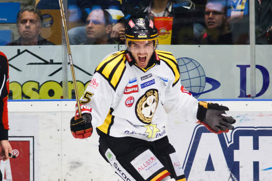 Martin Johansson, Brynäs (Jubel)