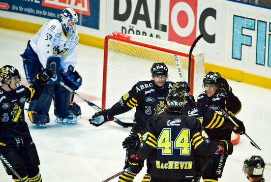 Daniel Larsson, målvakt, HV71, depp och jubel i AIK