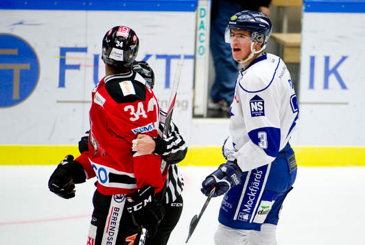 Jean Luc Grand Pierre, Malmö, Alen Bibic, Leksand ryker