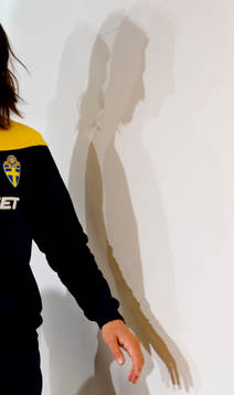 Zlatan Ibrahimovic