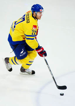 David Petrasek