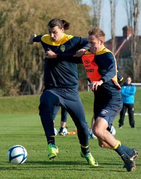 Zlatan Ibrahimovic, Andreas Granqvist