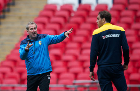 Johan Elmander, Erik Hamrén, förbundskapten