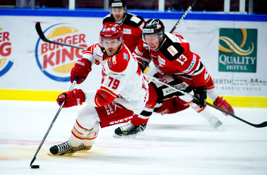Andrej Hebar, Troja Ljungby