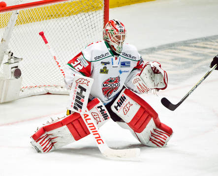 Mikael Tellqvist, målvakt