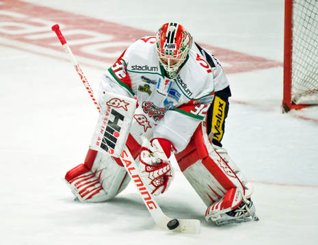 Mikael Tellqvist, målvakt