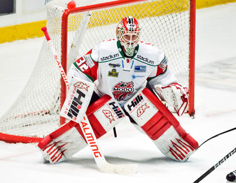 Mikael Tellqvist, målvakt