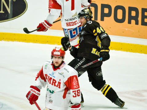 Nichlas Torp, Timrå och Josh Macnevin, AIK