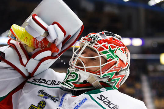 Mikael Tellqvist, målvakt