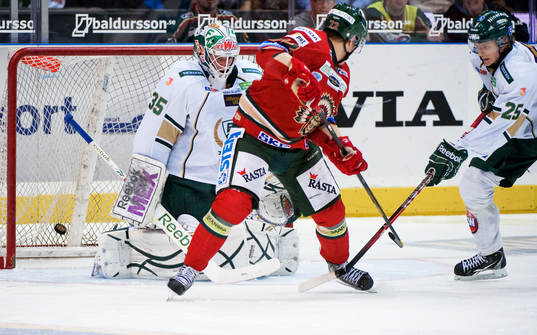 Fredrik Pettersson-Wentzel, målvakt, Färjestad, mål av