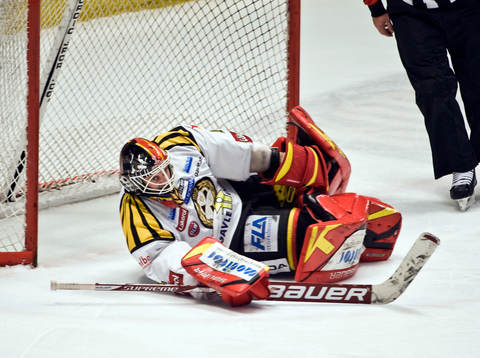 Niklas Svedberg, målvakt, Brynäs