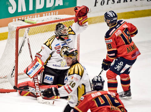 Niklas Svedberg, målvakt, Brynäs